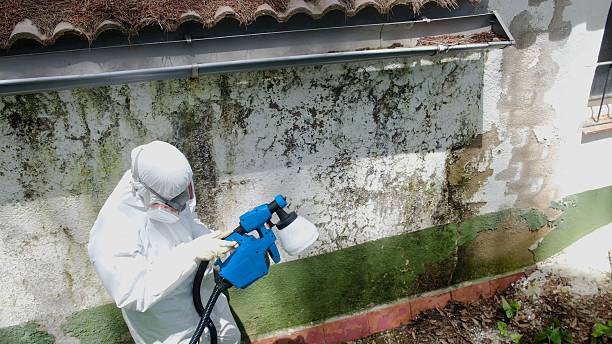 Trusted Mold Inspection service in Reinholds, PA - Cheap Mold Removal
